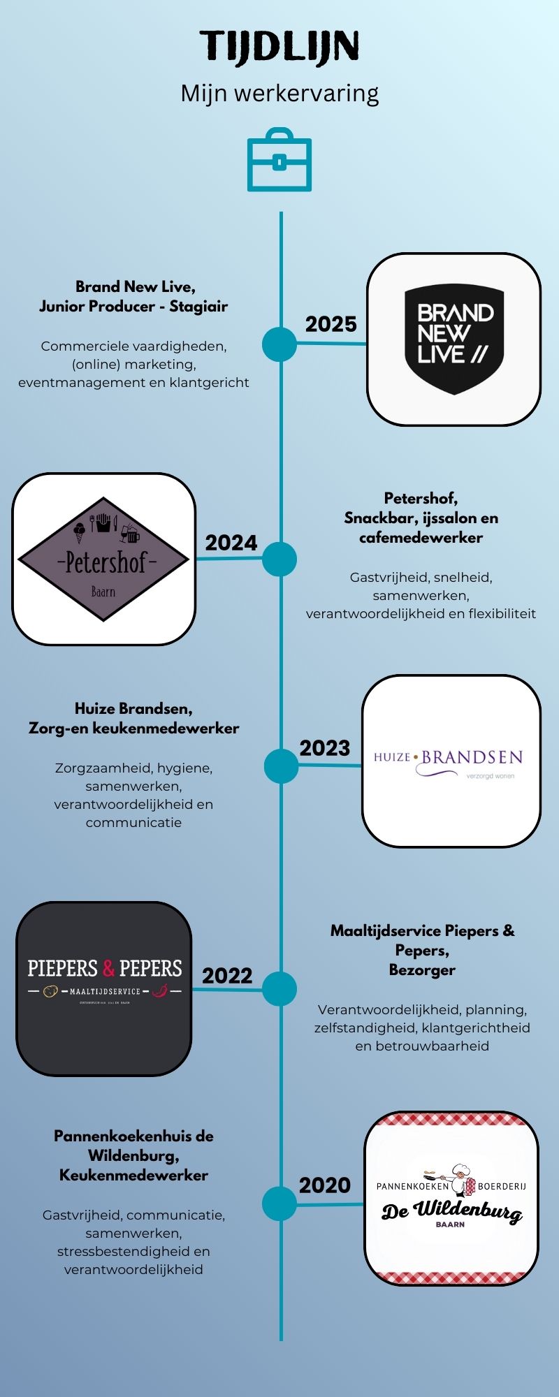 werkervaring tijdlijn